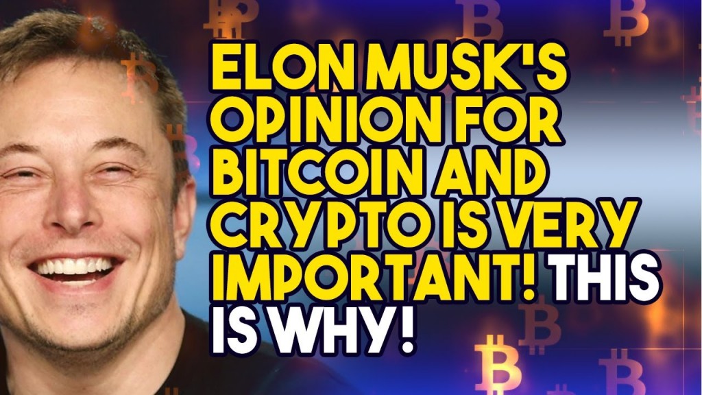 ELON MUSK'S OPINION FOR BITCOIN AND CRYPTO IS VERY ...